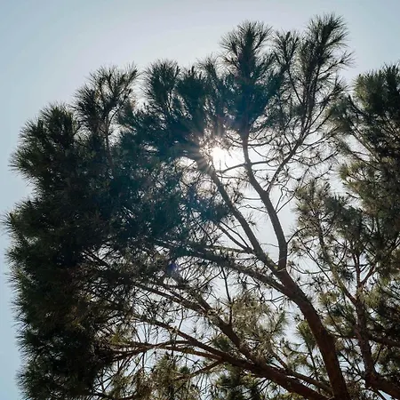 Lejlighed Townhouse Arcos Patio Pool Charming