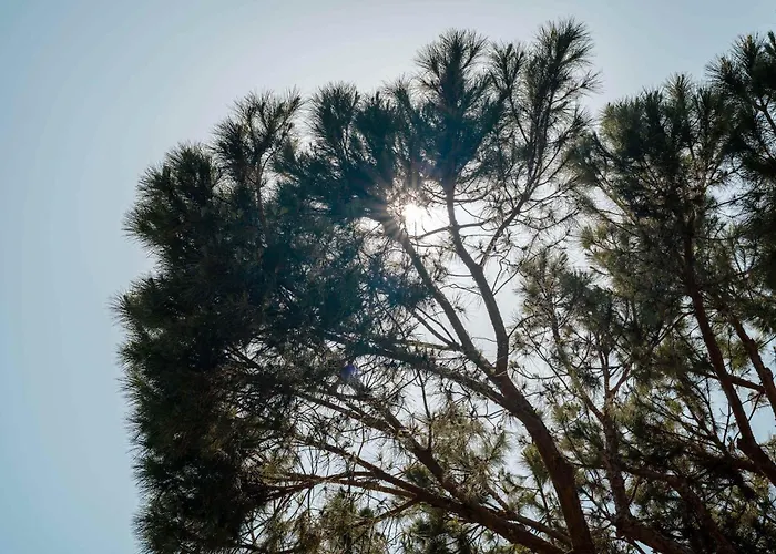 Apartament Townhouse Arcos Patio Pool Charming